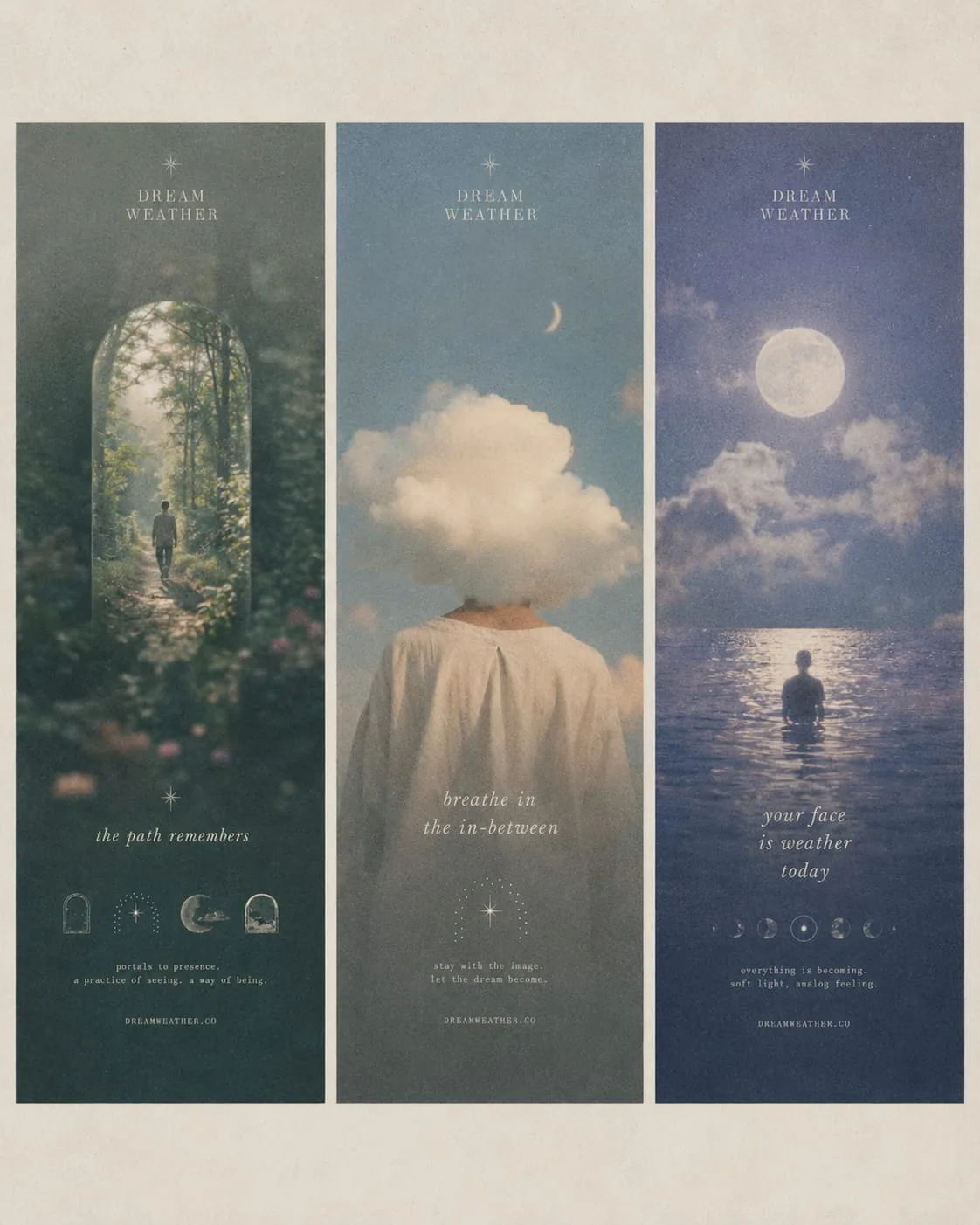 Self-initiated brand system: study Nº13